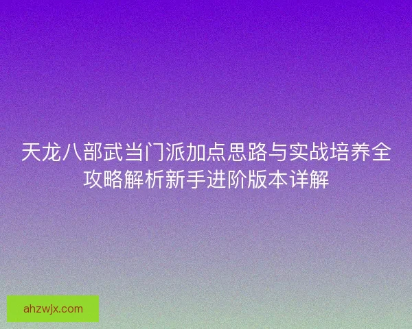 天龙八部武当门派加点思路与实战培养全攻略解析新手进阶版本详解