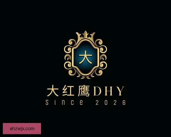 关于大红鹰dhy